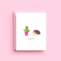 Greeting card with a hedgehog and cactus illustration on a pink background